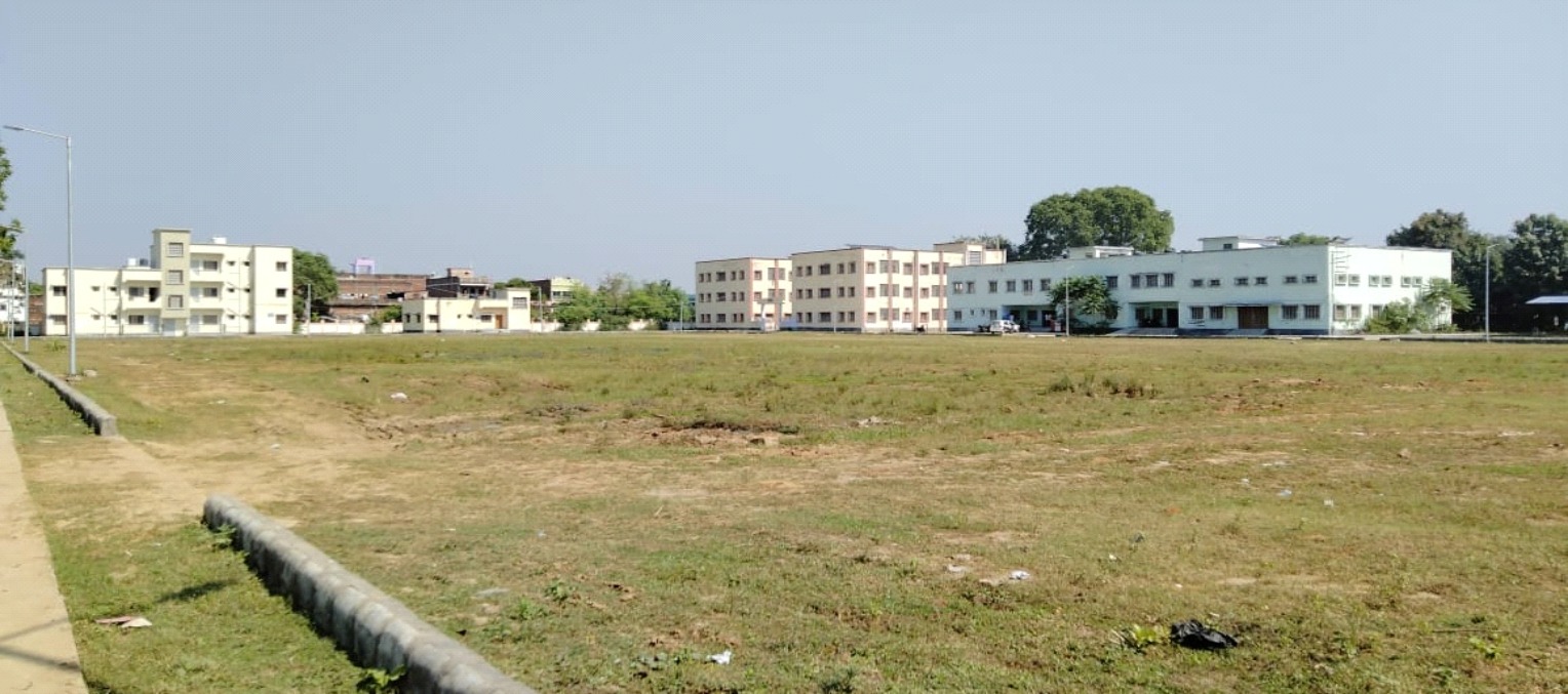Primary Teacher Education College 